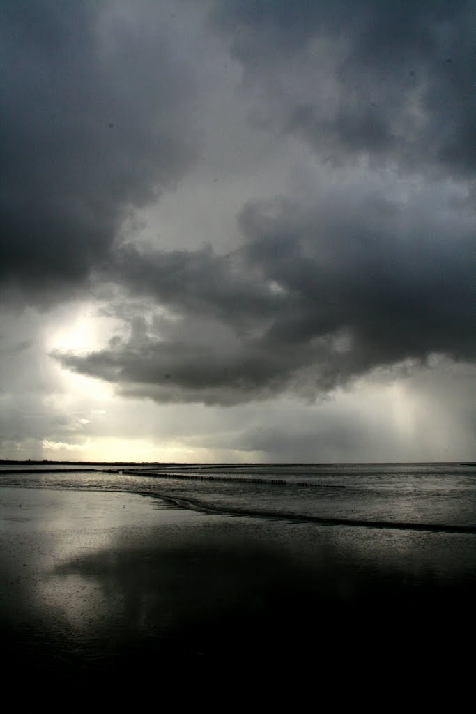 Wadden Sea, view at tidal flat from ferry dam of Holwerd by Martin van den Bogae…