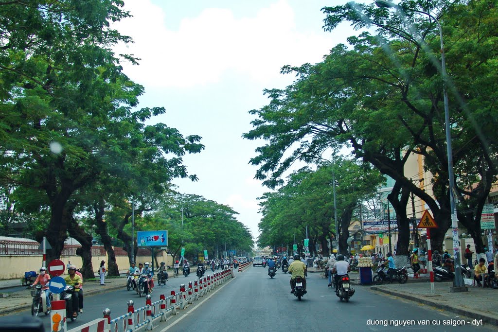 Duong nguyen van cu sai gon 2010 by yenasi