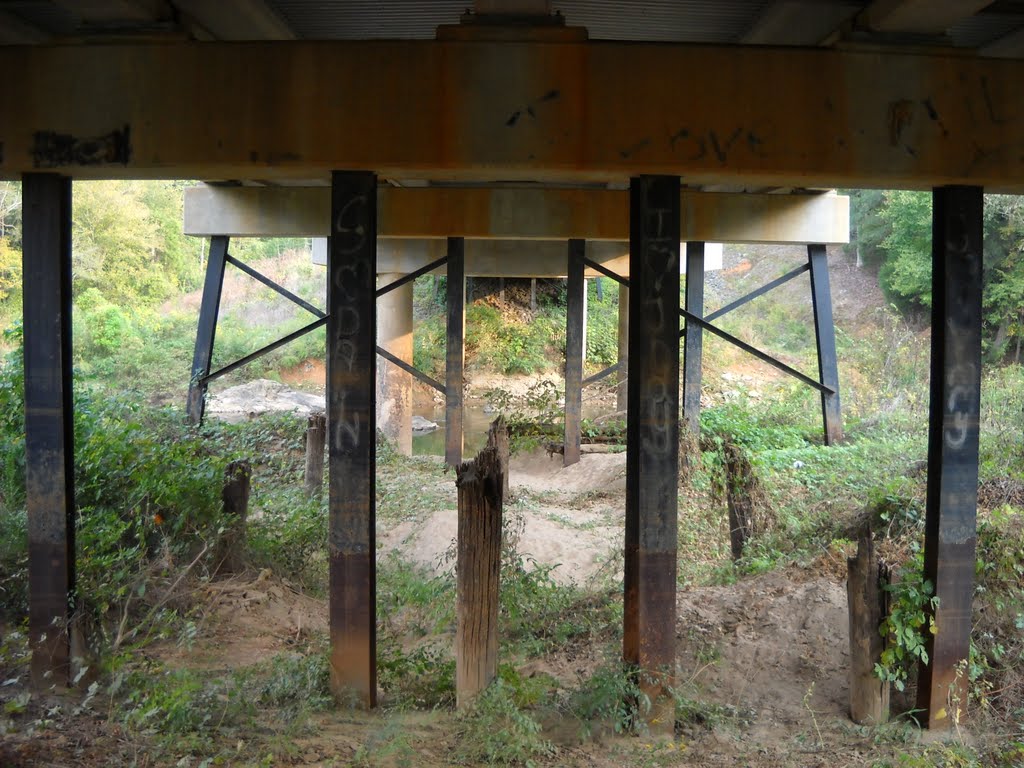 Old dobys bridge supports under new bridge by jonathan mccorkle