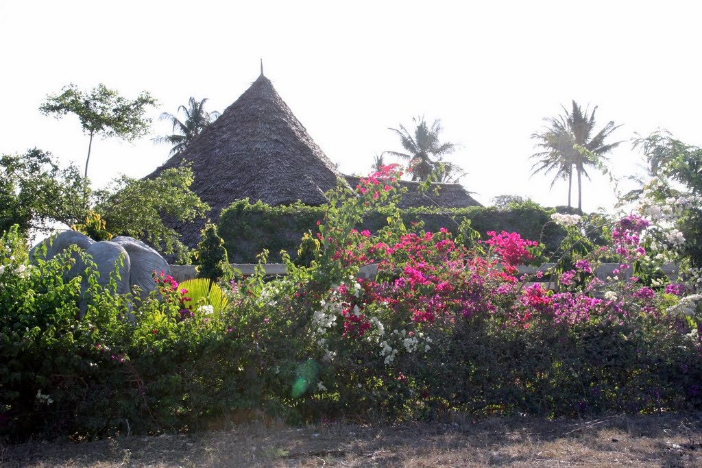 Kibada, Tanzania by Hayri Bolat