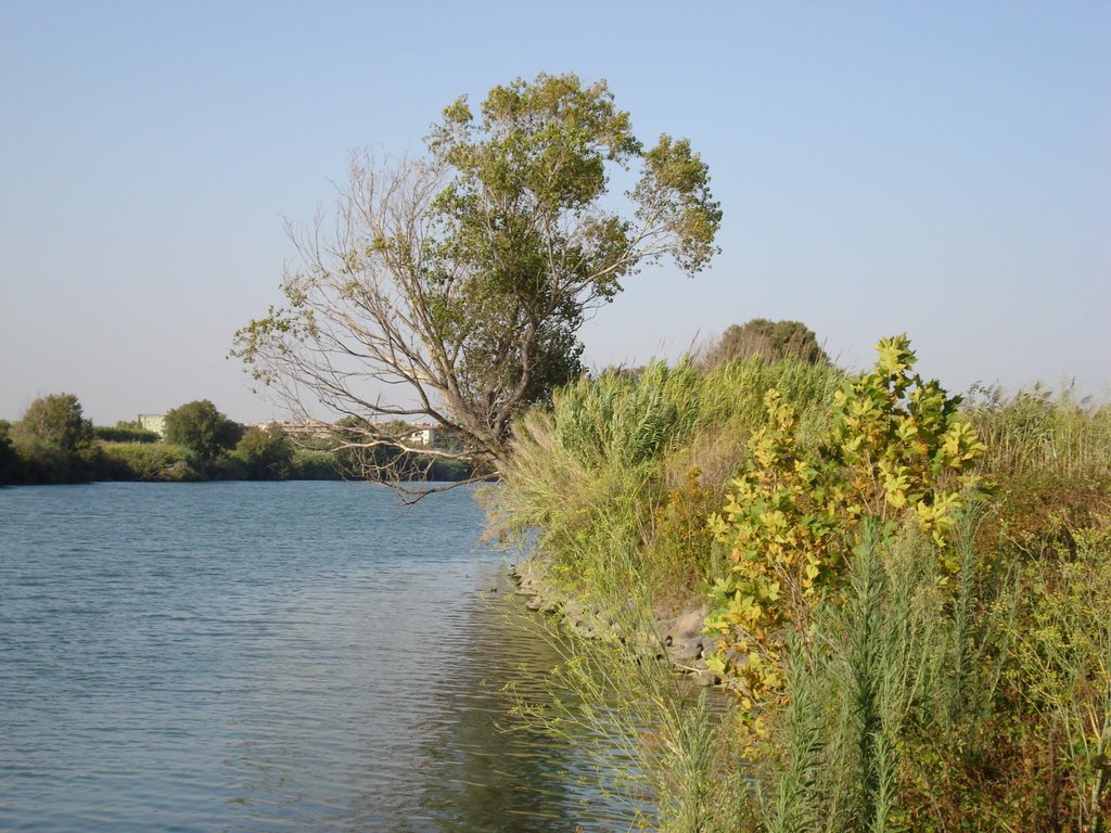 Tevere Ostia Antica by vivimareroma.it