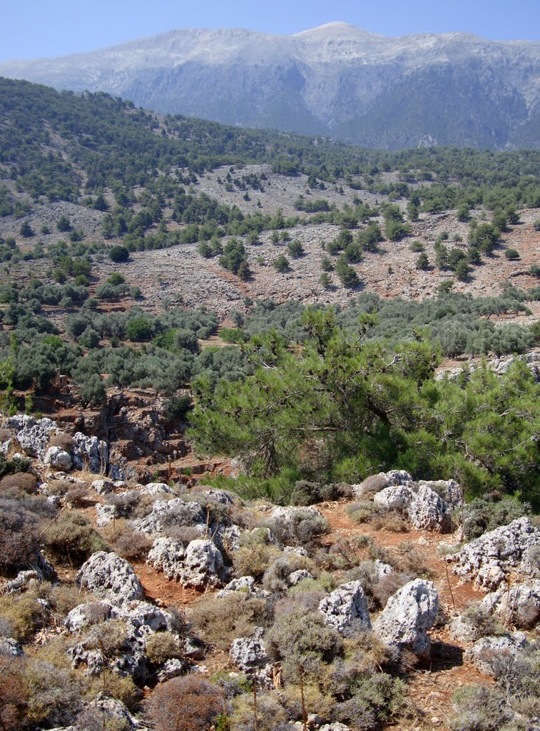 Paesaggi dell'Isola di Creta: aspra natura nella zona di Aradena by effeelle