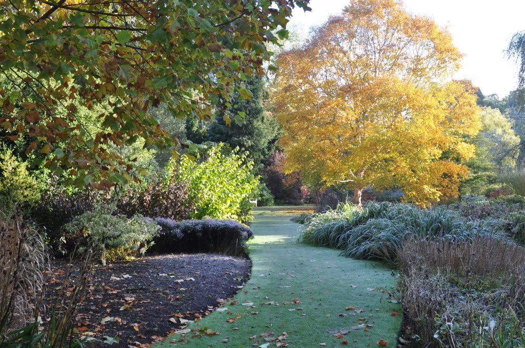 Leckford water garden by Ratty