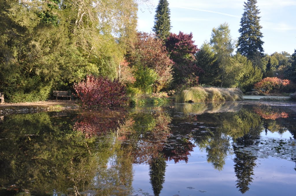 Leckford water garden by Ratty