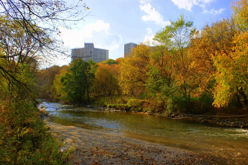 The Don River by bfair