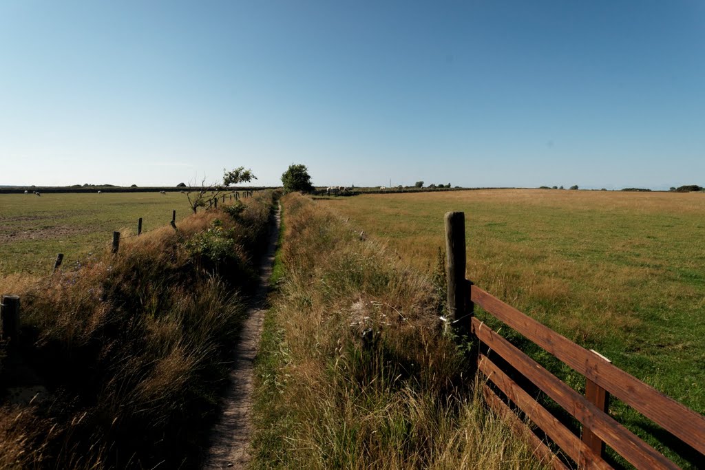 Texel - Hoge Berg - Zuid Haffel - Footpath - View NW by txllxt TxllxT