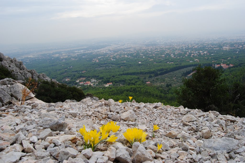 PARNITHA, ATHENS, GREECE by Angelos Sakelariou