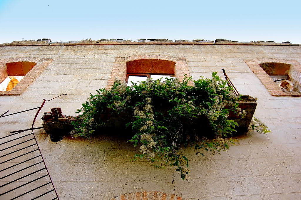 Rubinat, Ribera d'Ondara la Segarra, Lleida by Angela Llop