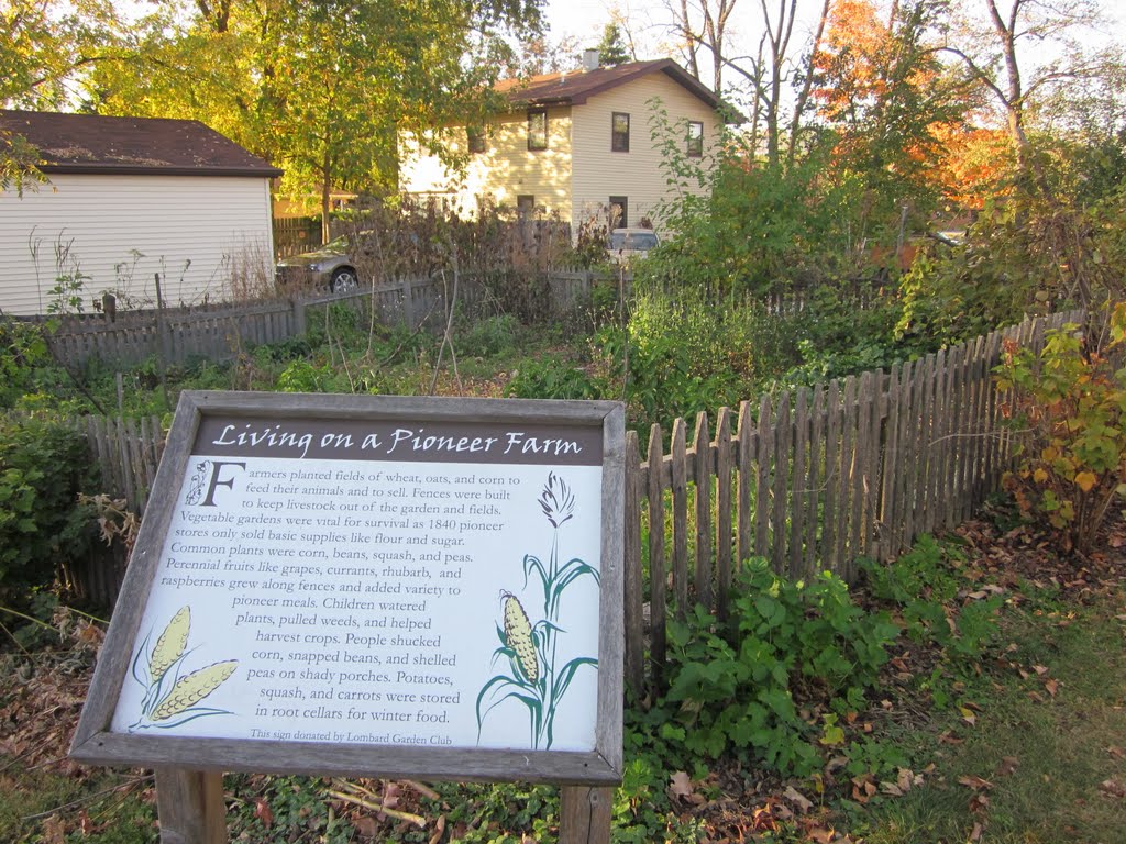 Historic site: Sheldon Peck Homestead by allyssab