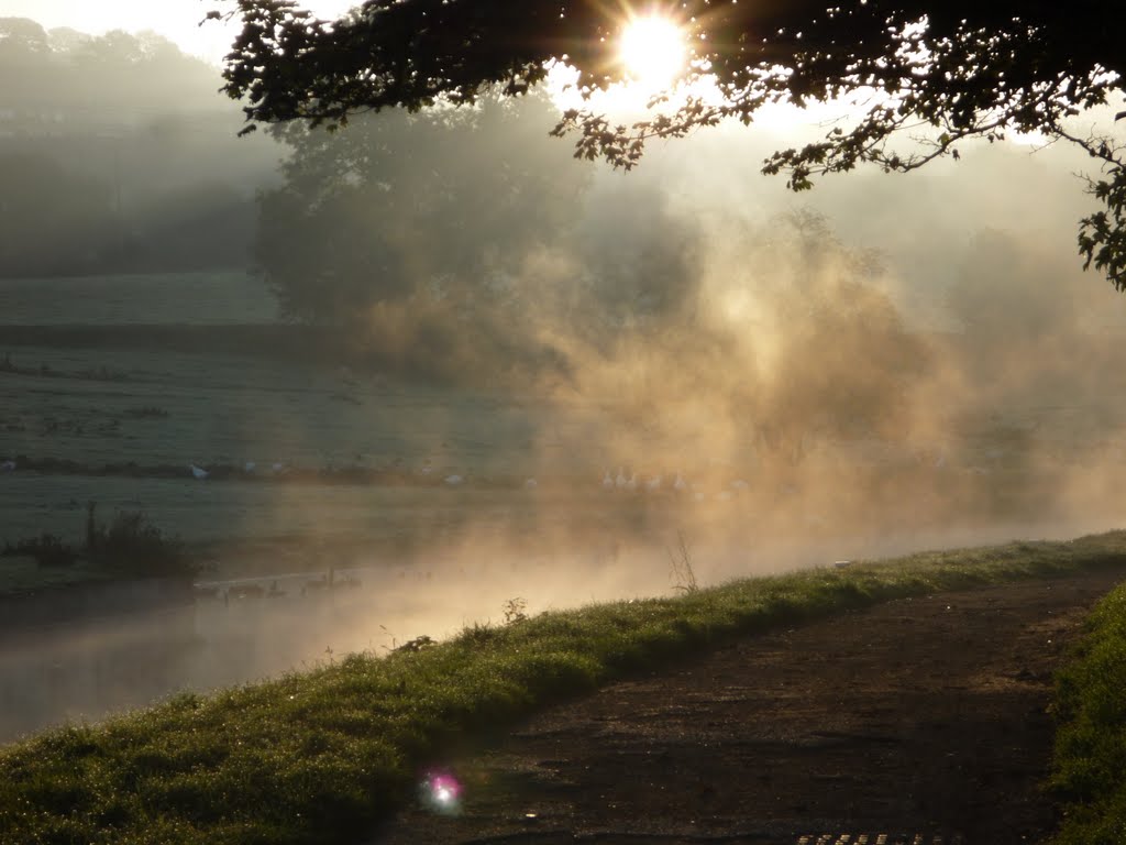 Mist over the canal at Crossflatts by John Kelvyn Chapman