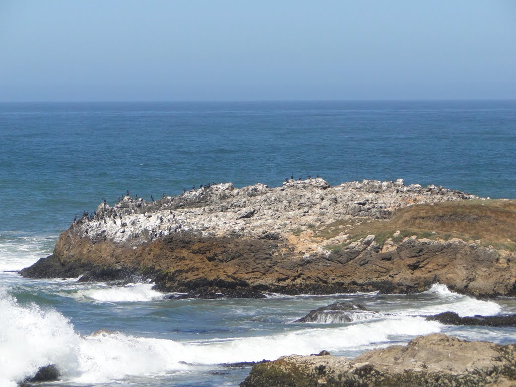 Pescadero State Beach, Pescadero, CA 94060, USA by Cappelle