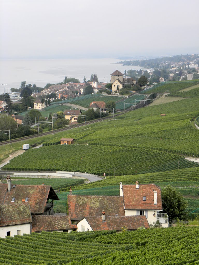 Le lac Léman vu des terrasses de Lavaux by Jean-Marc SILVESTRE