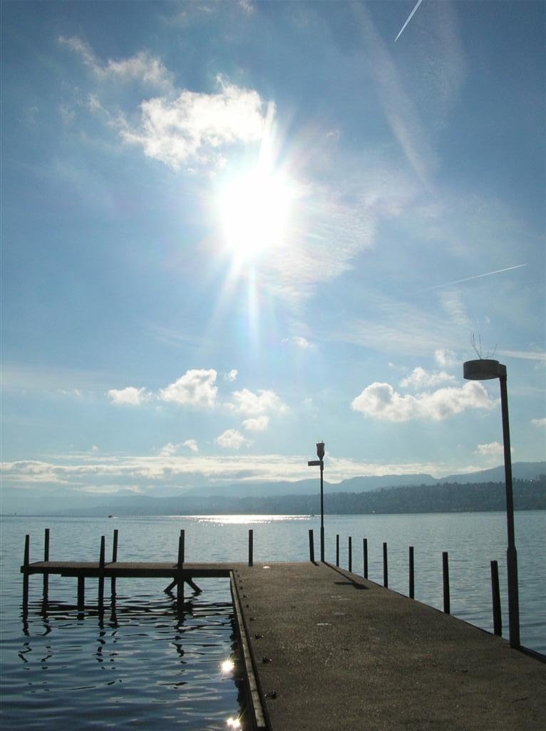 Zurich - Zürichhorn - Pier by Angelabinu