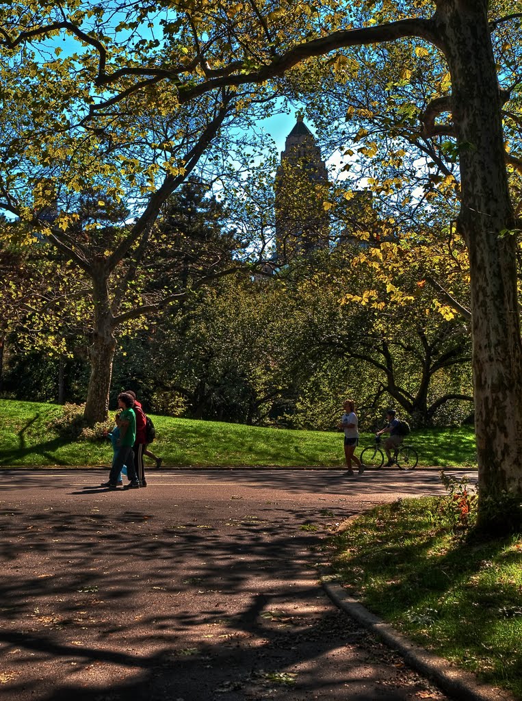 Central Park 07 by Alfredo Gar