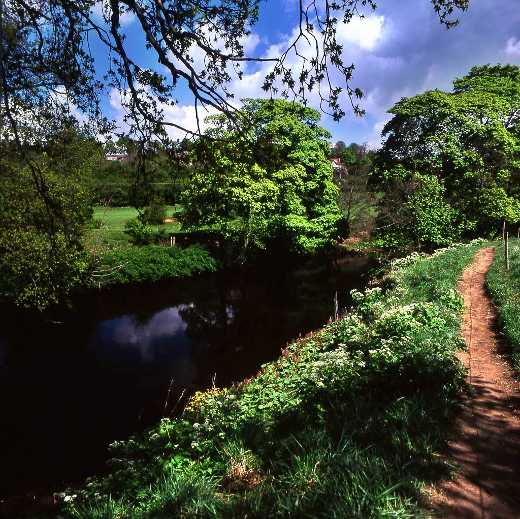 River Derwent between Hathersage and Bamford. by Bob McCraight