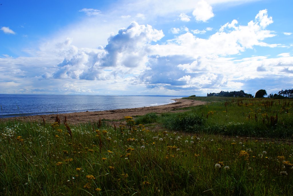 East Haven Coastline by Scott Darlow