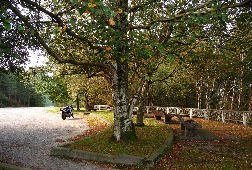 Mirador en la BI-3152 (by Birkenwald) by Birkenwald47