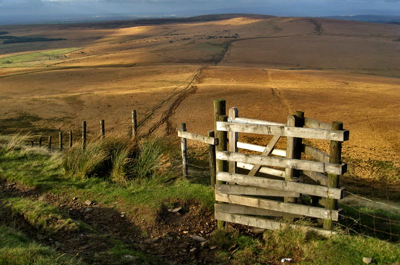 View from Noon Hill by Mal Firth