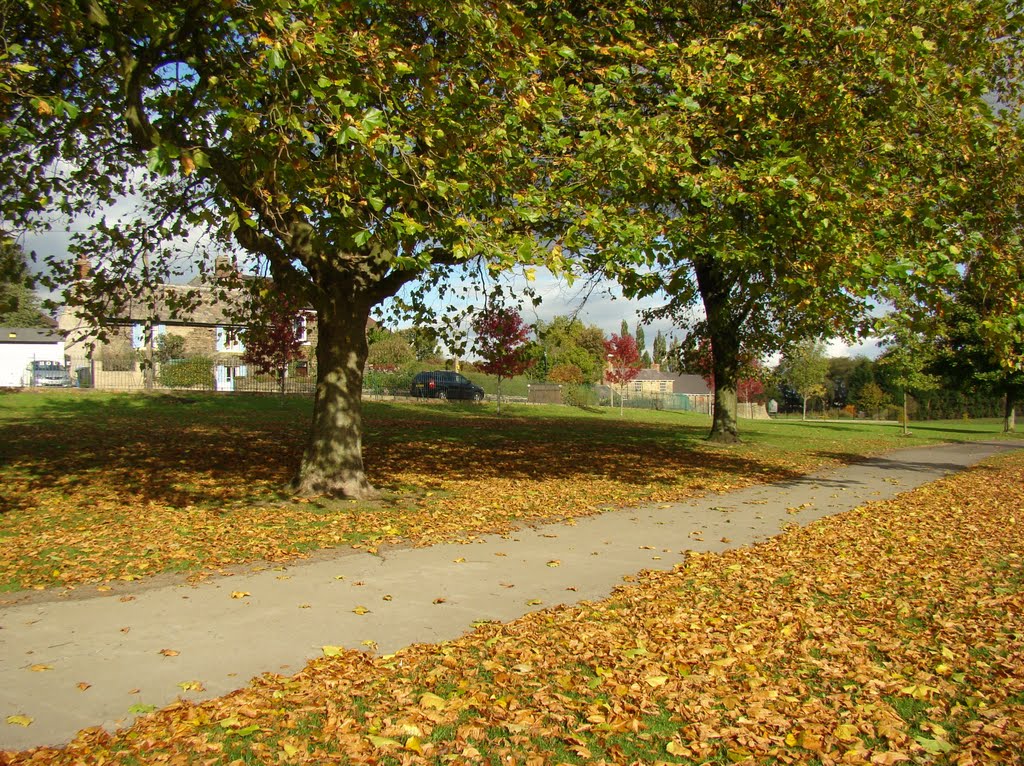 Autumn leaves in Concord Park looking towards Oaks Lane, Shiregreen, Sheffield S5 by sixxsix