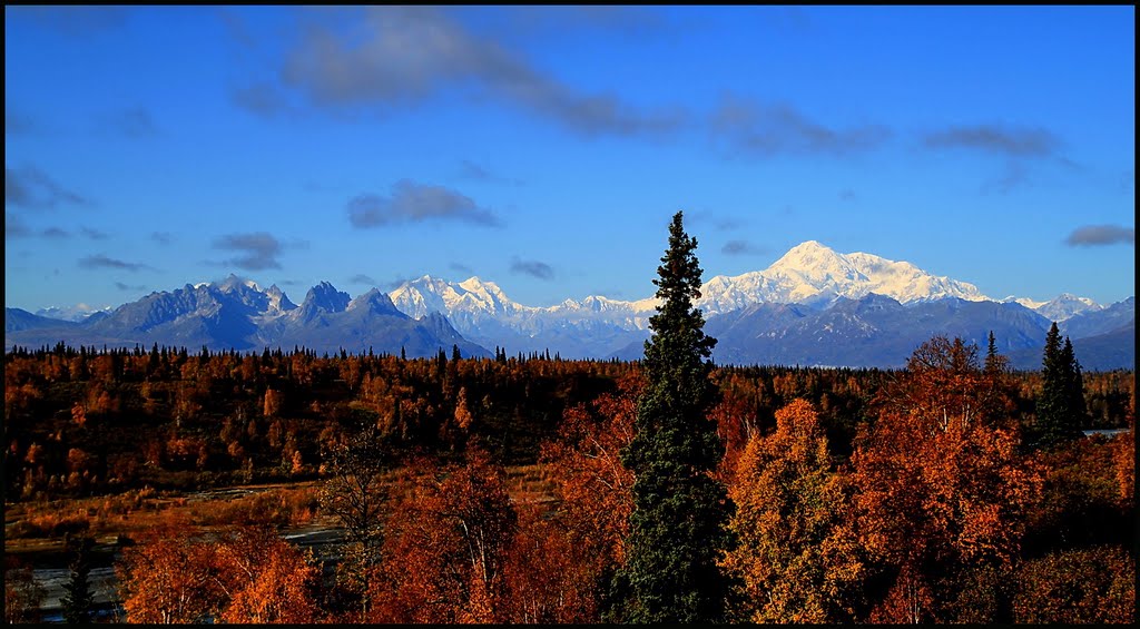 Denali State Park 20.9.2010 ... C by americatramp.the2nd