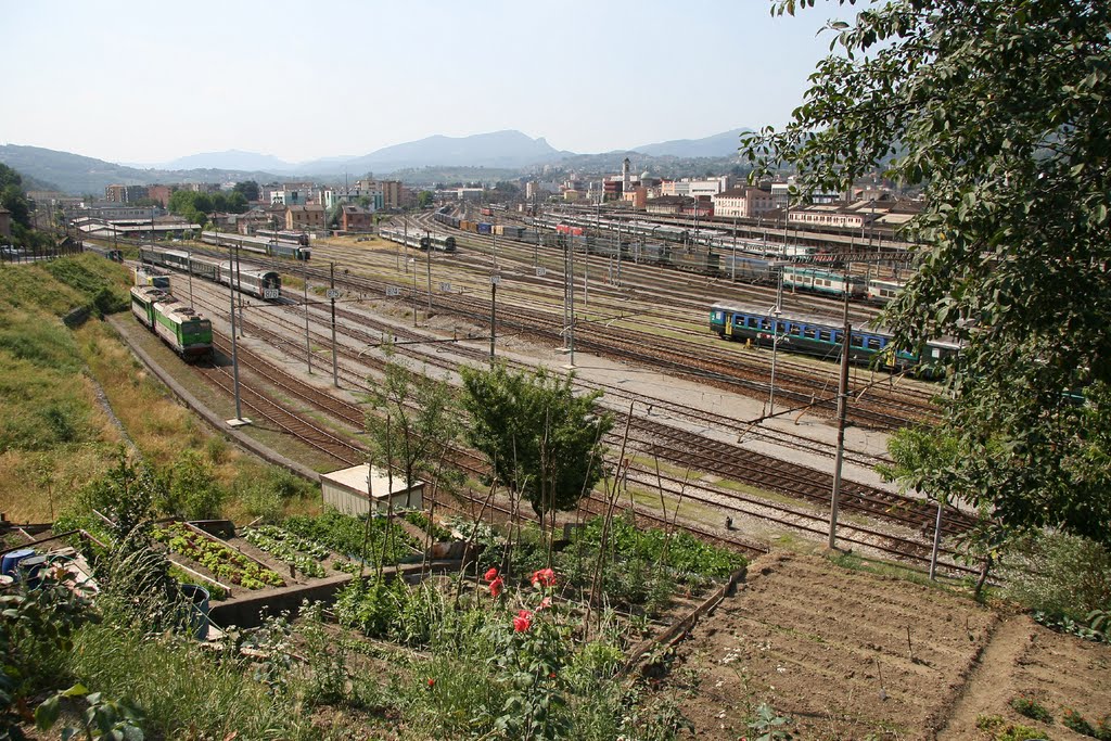 Freight yard in Chiasso by brian daniels