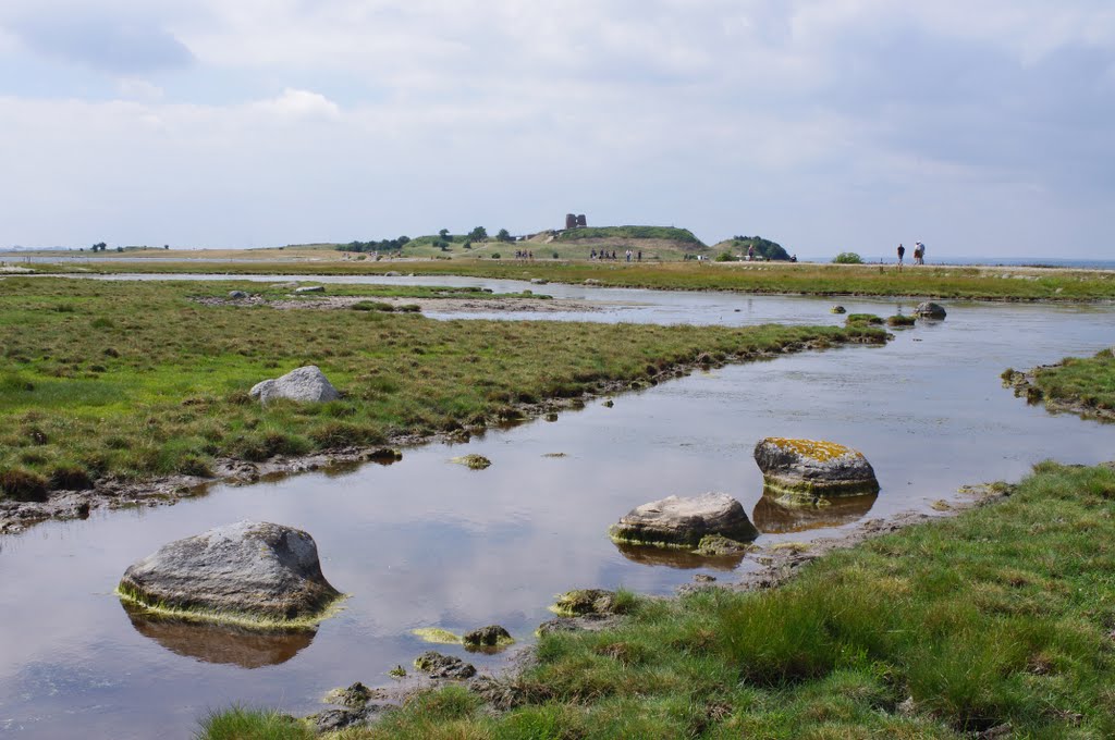 Vejen til Kalø by Pictybjerg