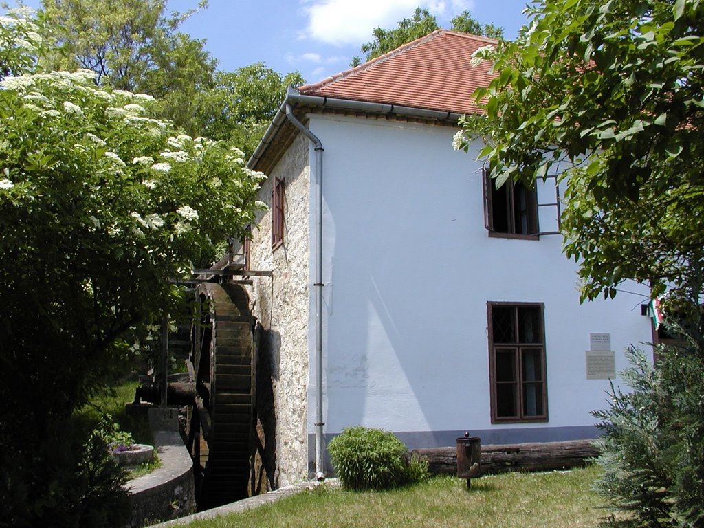 Csopak Hungary at Lake Balaton by Csopak