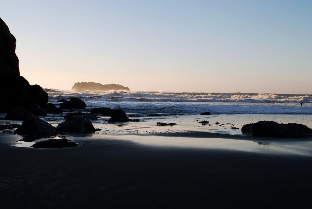 Trinidad Beach - 155 by Larry Doc Butcher