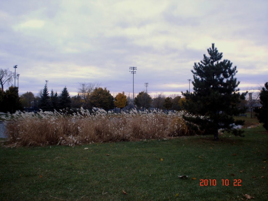 Parc Ahuntsic by neica nimeni