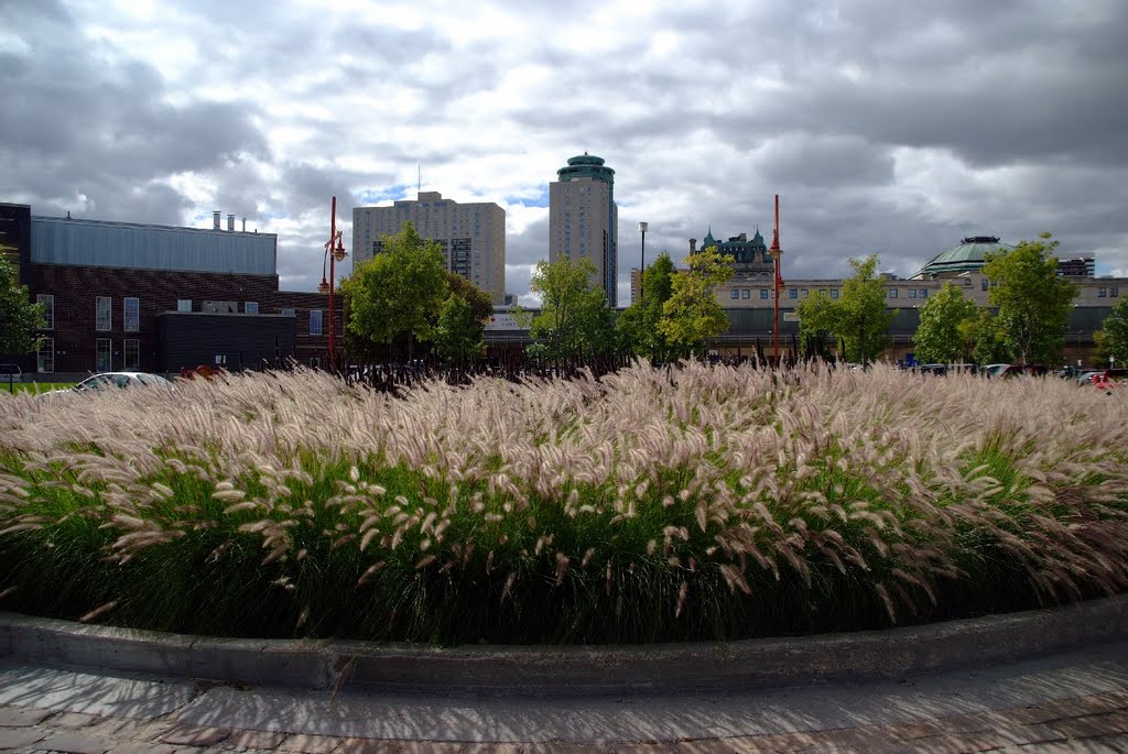 Roundabout at The Forks, Winnipeg, MB by R. Halim