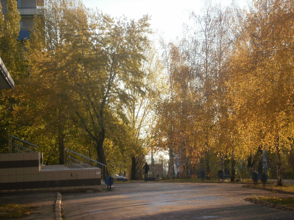 Sovetskiy rayon, Samara, Samarskaya oblast', Russia by Штучки