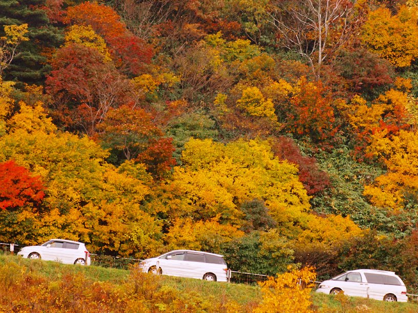 Hill Drive by tsushima