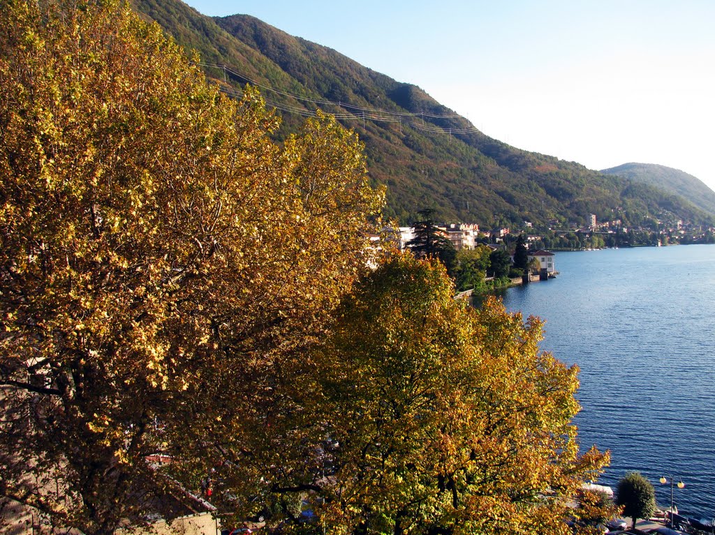 Alberi della riva orientale (18 ottobre 2010) by Marco Carnelli