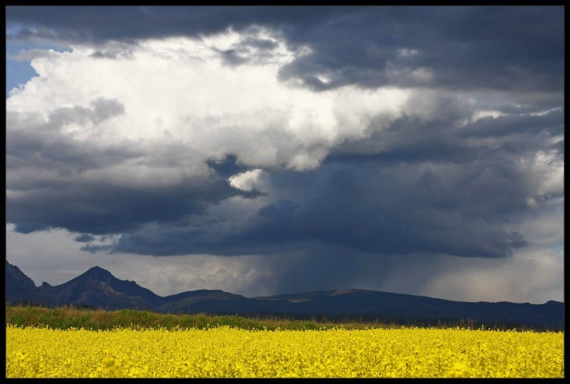 Gavet de la Conca, Lleida, Spain by Jordi PERÓ