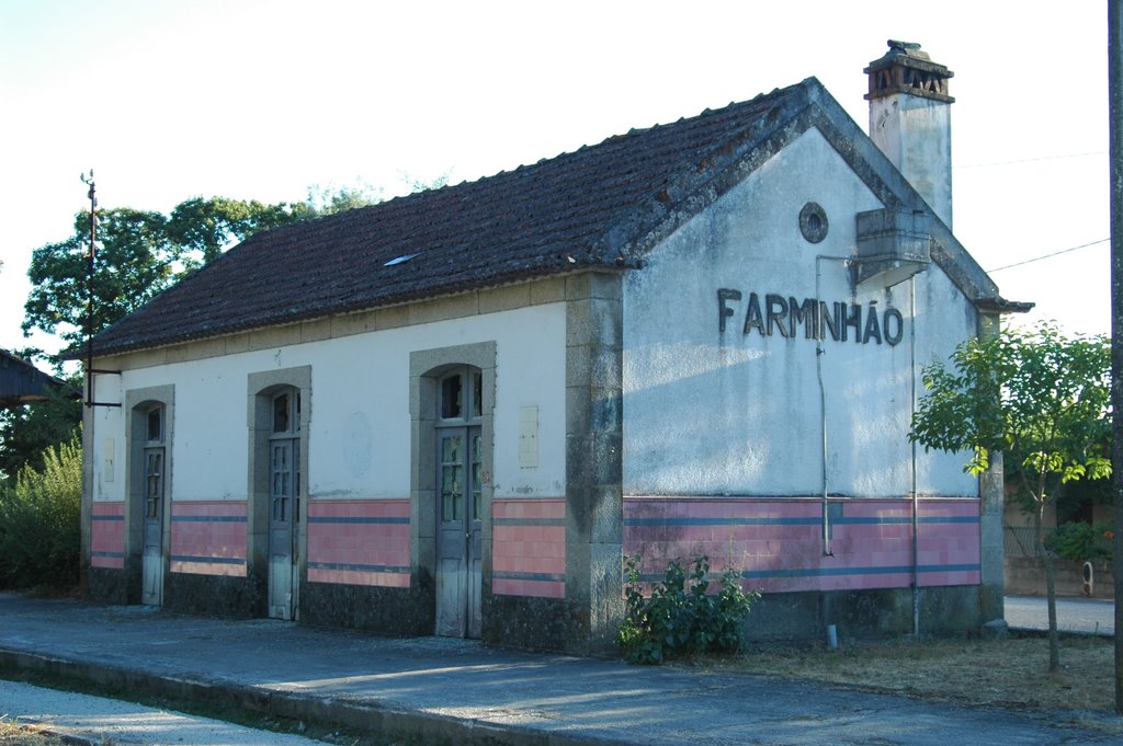 Estação de Farminhão (antiga Linha do Dão) by Paulo Lourinho