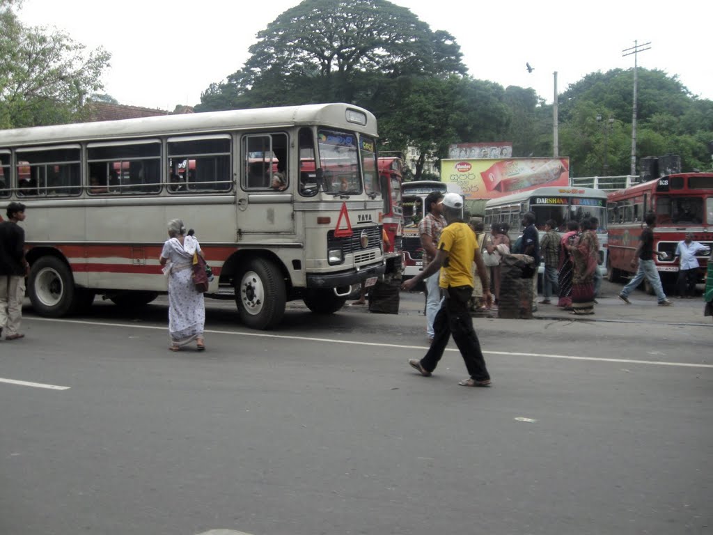 Bus Stand,බස් නැවතුම්පොළ by Saltha Dsevenii