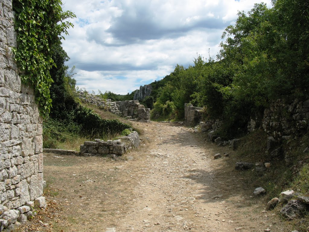 Le rovine di Dovgrad by Daniele Disingrini