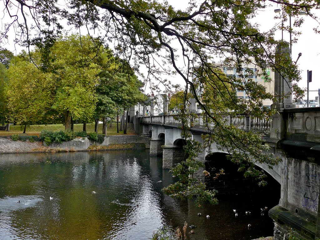 Bridge over the Taff by Ibshadow