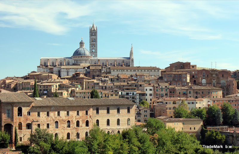 53100 Siena, Province of Siena, Italy by Bogdan60