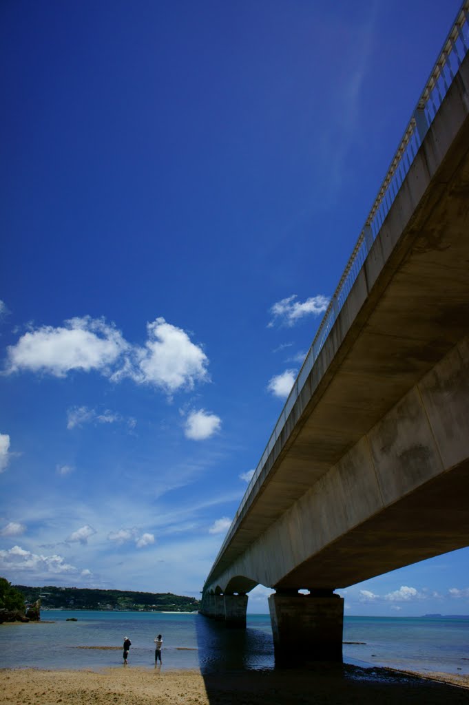 Japan, Okinawa-ken, 県道247号線 by Yoichi Takanami