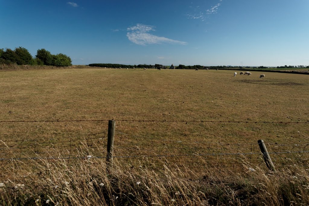 Texel - Hoge Berg - Schansweg - Footpath - View SE by txllxt TxllxT