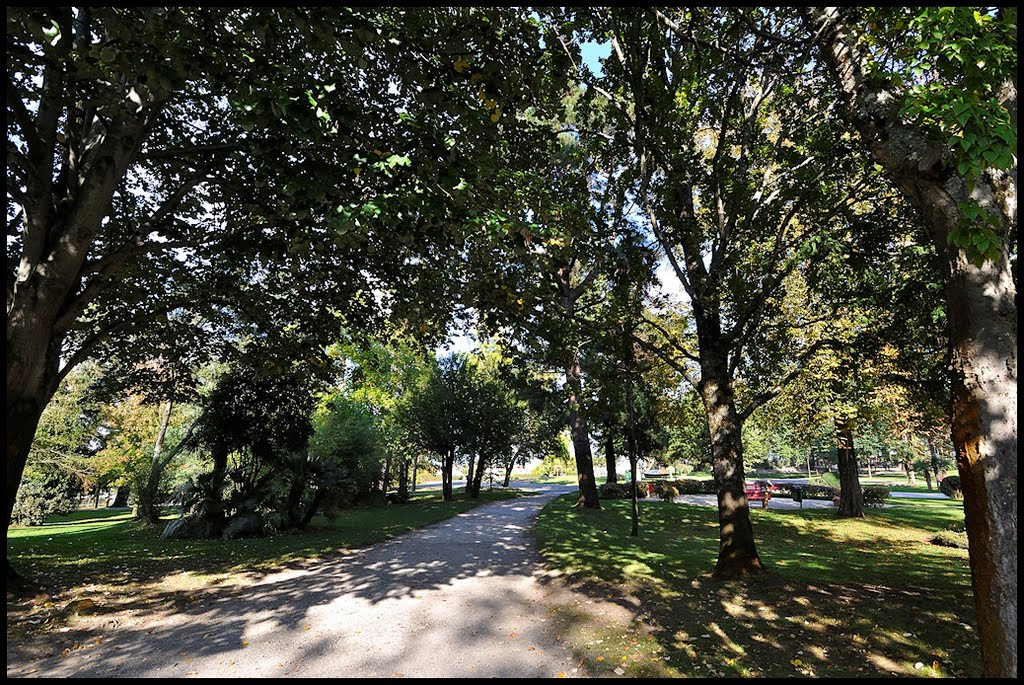 Parc Mauresque by Jean-Pierre Roche