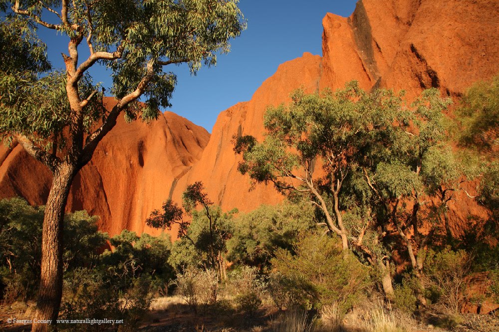 Petermann NT 0872, Australia by Feargus Cooney