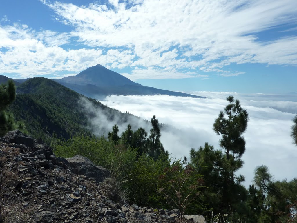 Teide above the clouds by LucT