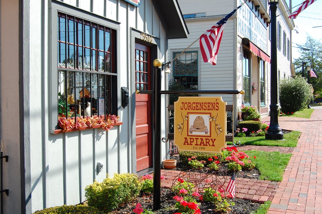 Historic Olmsted Falls Storefront by maddyg