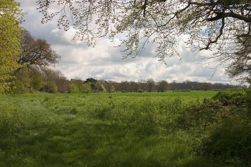 Meopham, UK by Harry van Engelen