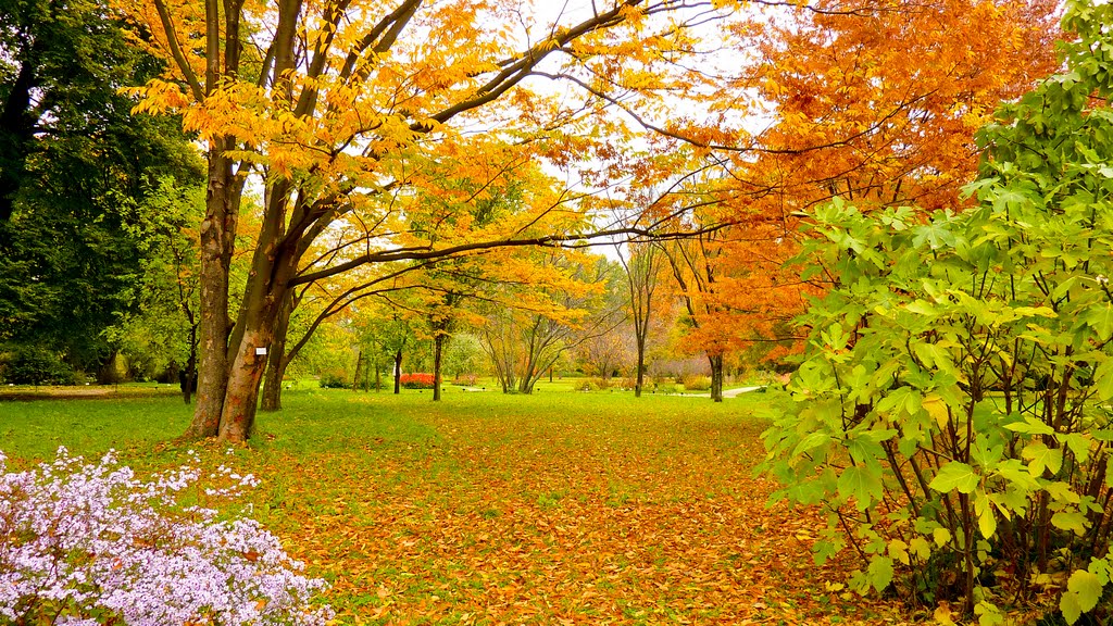 Belvedere Botanischer Garten Herbstfarben by Rêdûr Mizûrî