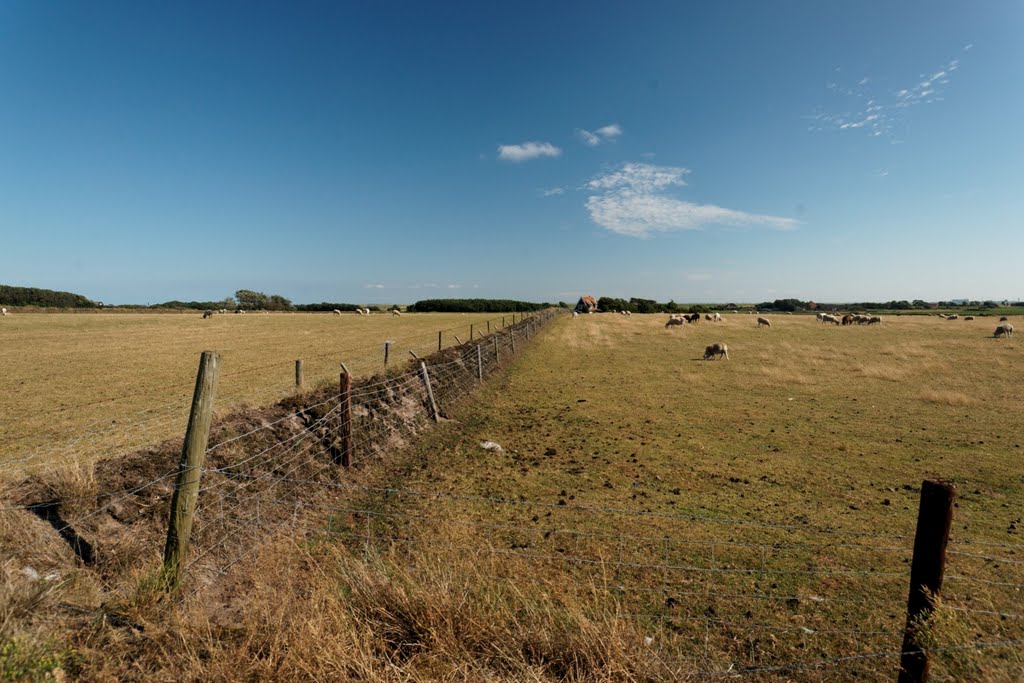 Texel - Hoge Berg - Schansweg / Zuid Haffel - Footpath - View South by txllxt TxllxT