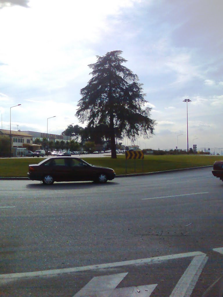 Rotunda João Paulo II by AJFAlmeida