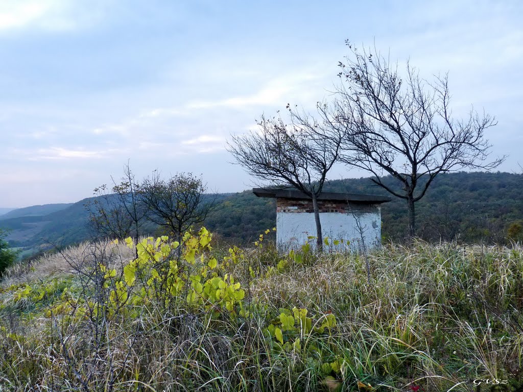 Házikó a dombon / Cottage on the hill by Viktória Gönczi